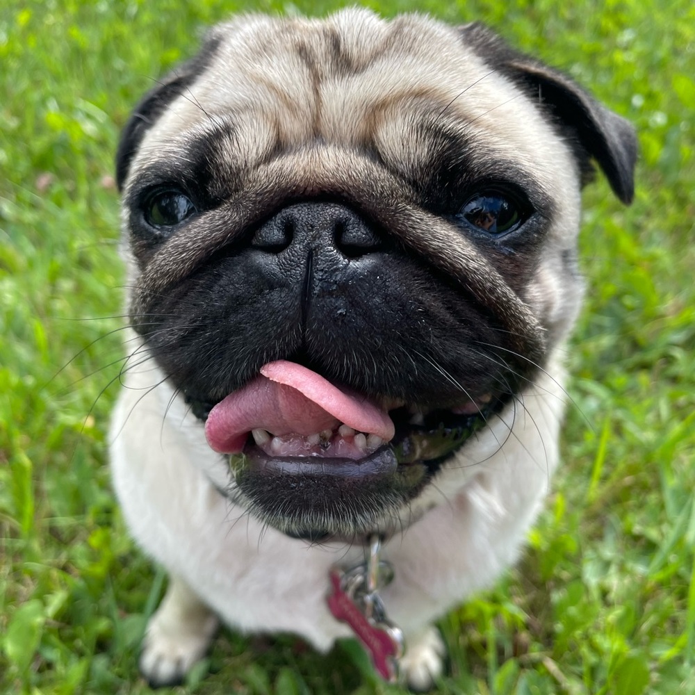 Meet your Posher, Katrina